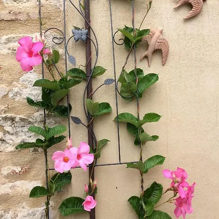La Casina Delle Rondini