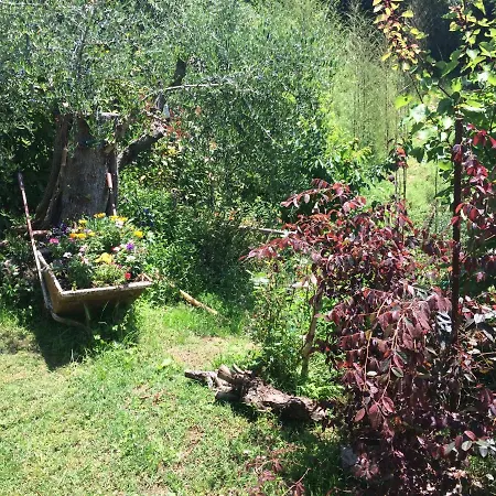 컨트리하우스 La Casina Delle Rondini